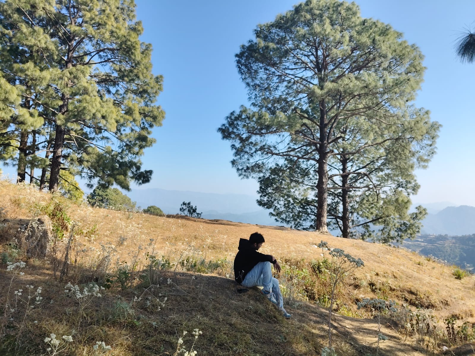 Profile Banner